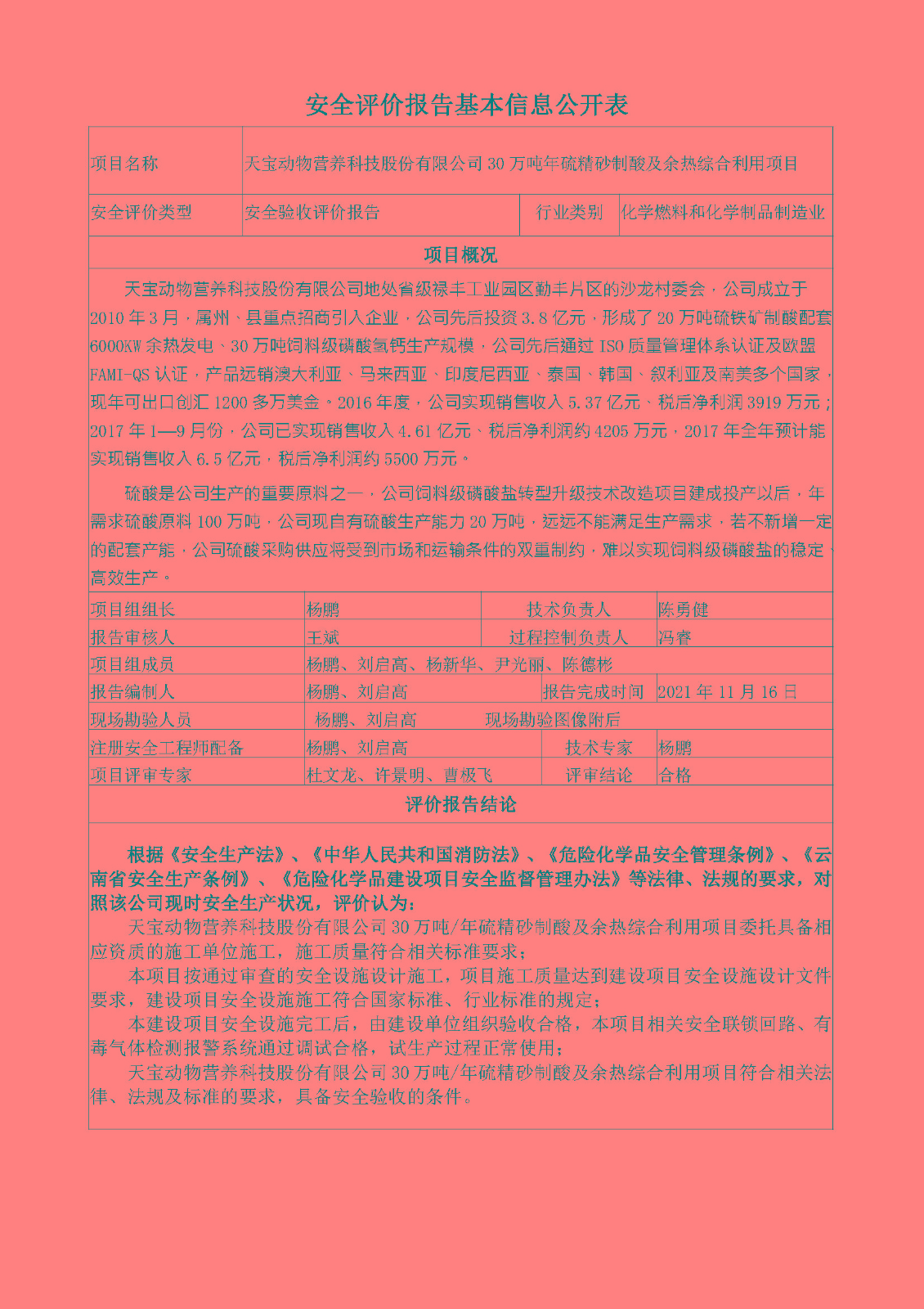天宝安全评价报告基本信息公开表