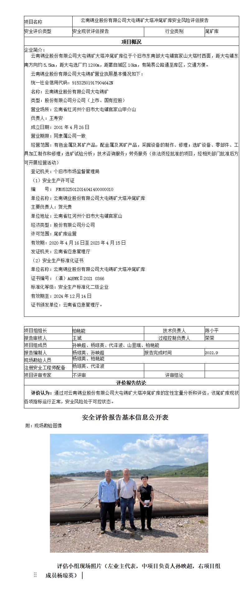 安全评价报告基本信息公开表（大塔冲尾矿库）