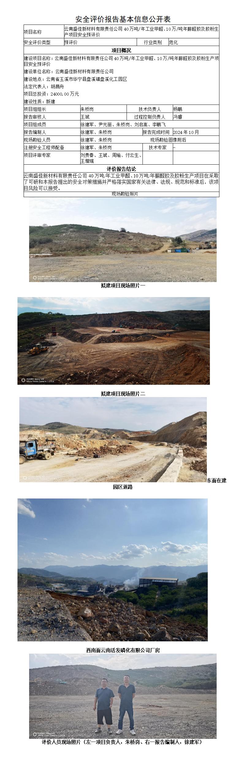 安全评价报告基本信息公开表（盛佳新材料有限责任公司）