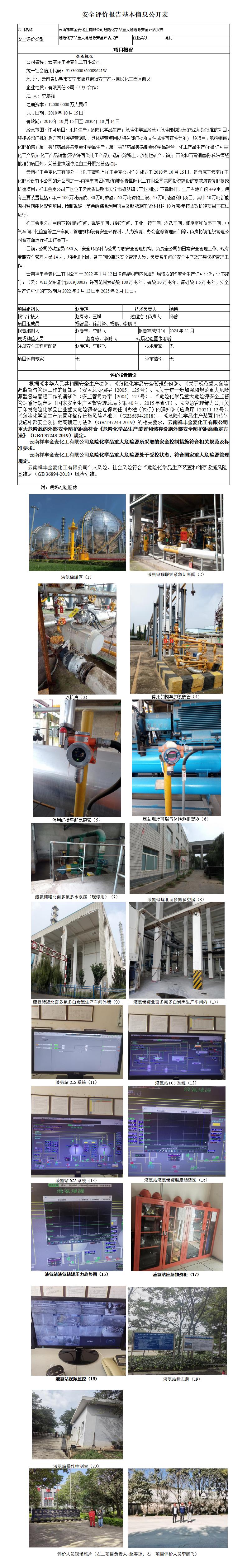 安全评价报告基本信息公开表（祥丰金麦重大危险源）